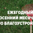 На территории Лунинского района  объявлен месячник по благоустройству - Лунинский район