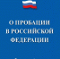 Федеральный закон о пробации в Российской Федерации - Лунинский район
