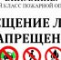 На территории Пензенской области введено ограничение на посещение лесов - Лунинский район