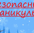 ПАМЯТКА О БЕЗОПАСНОСТИ родителям и обучающимся в период зимних каникул - Лунинский район