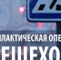 На территории обслуживания МО МВД России «Лунинский» пройдет профилактическое мероприятие «Пешеход. Пешеходный переход!» - Лунинский район